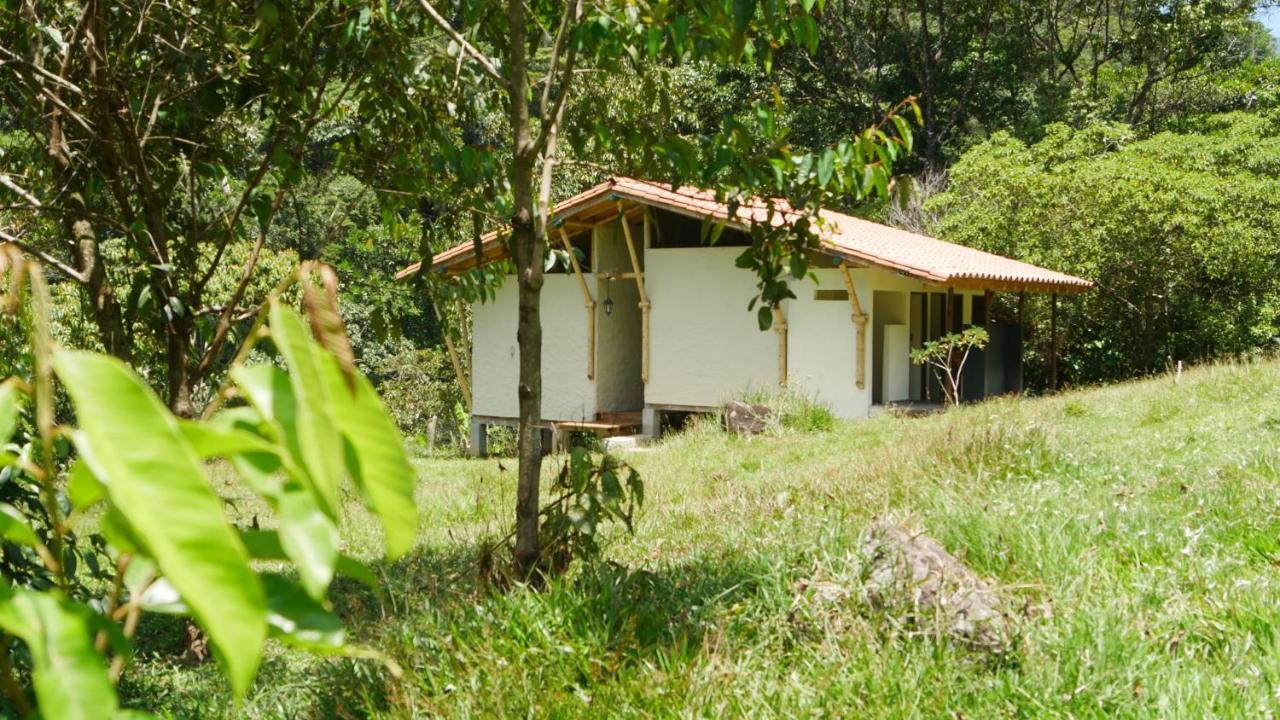La Perla Negra - Black Pearl Eco Hostel San Rafael (Antioquia) Exterior foto