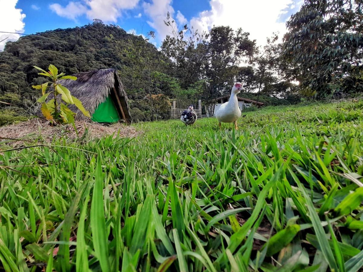La Perla Negra - Black Pearl Eco Hostel San Rafael (Antioquia) Exterior foto