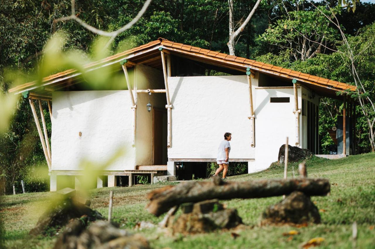 La Perla Negra - Black Pearl Eco Hostel San Rafael (Antioquia) Exterior foto