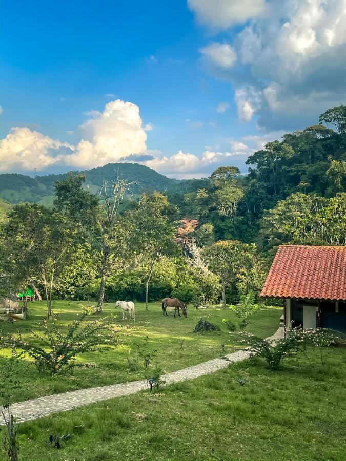 La Perla Negra - Black Pearl Eco Hostel San Rafael (Antioquia) Exterior foto