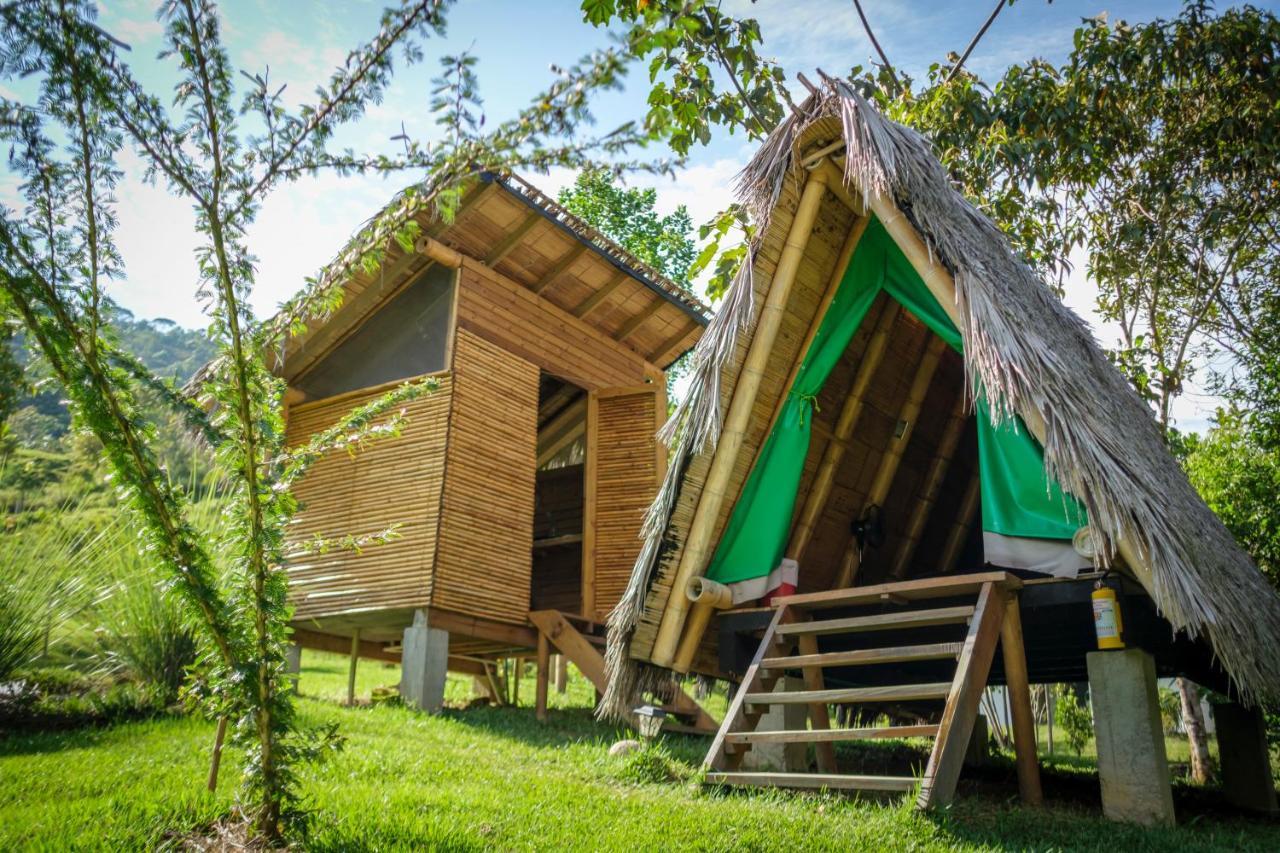 La Perla Negra - Black Pearl Eco Hostel San Rafael (Antioquia) Exterior foto